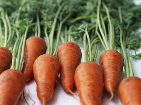 ファームシィ株式会社