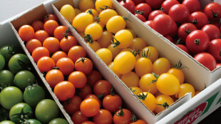 ファームシィ株式会社